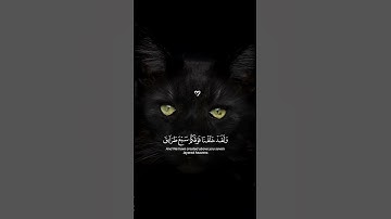 اكتب شيء تؤجر عليه😌🖤/ القارئ ياسر الدوسري #karim_quran_1