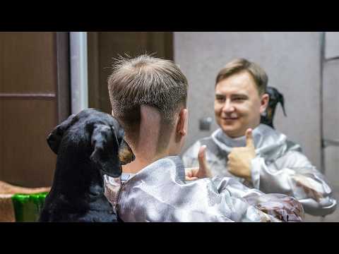 what-a-silly-haircut!-cute-&-funny-dachshund-dog-video!