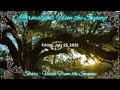 Daily Affirmations From The Swamp For Friday July 25 2025 Daily Affirmations From The Swamp For Friday July 25 2025