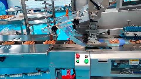 Bread packaging production line/Provider of Automated Packaging Equipment and Solutions