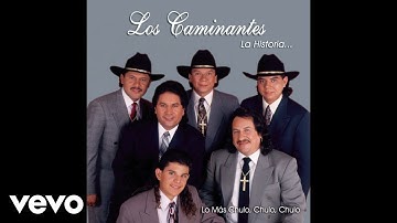 Los Caminantes - Me Está Doliendo Tu Ausencia (Audio)