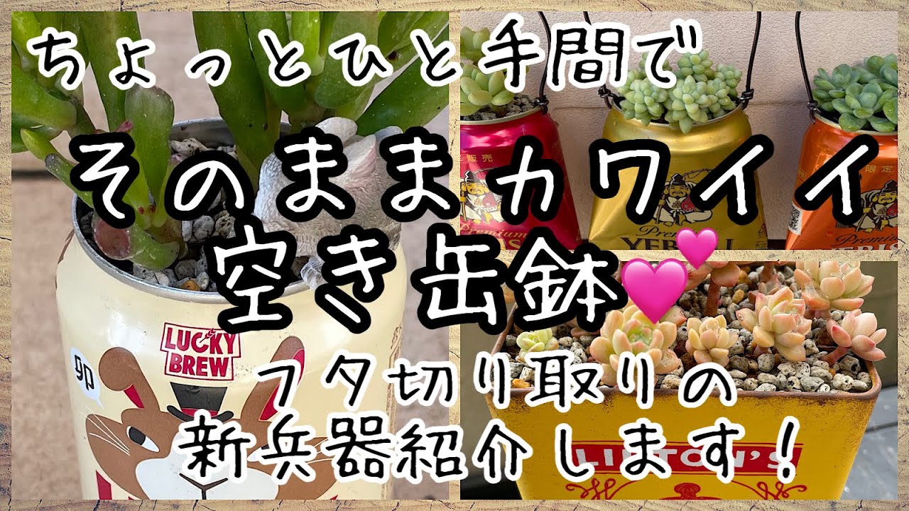 多肉植物】カワイイ空き缶そのまま 一手間で鉢に変身させよう フタ