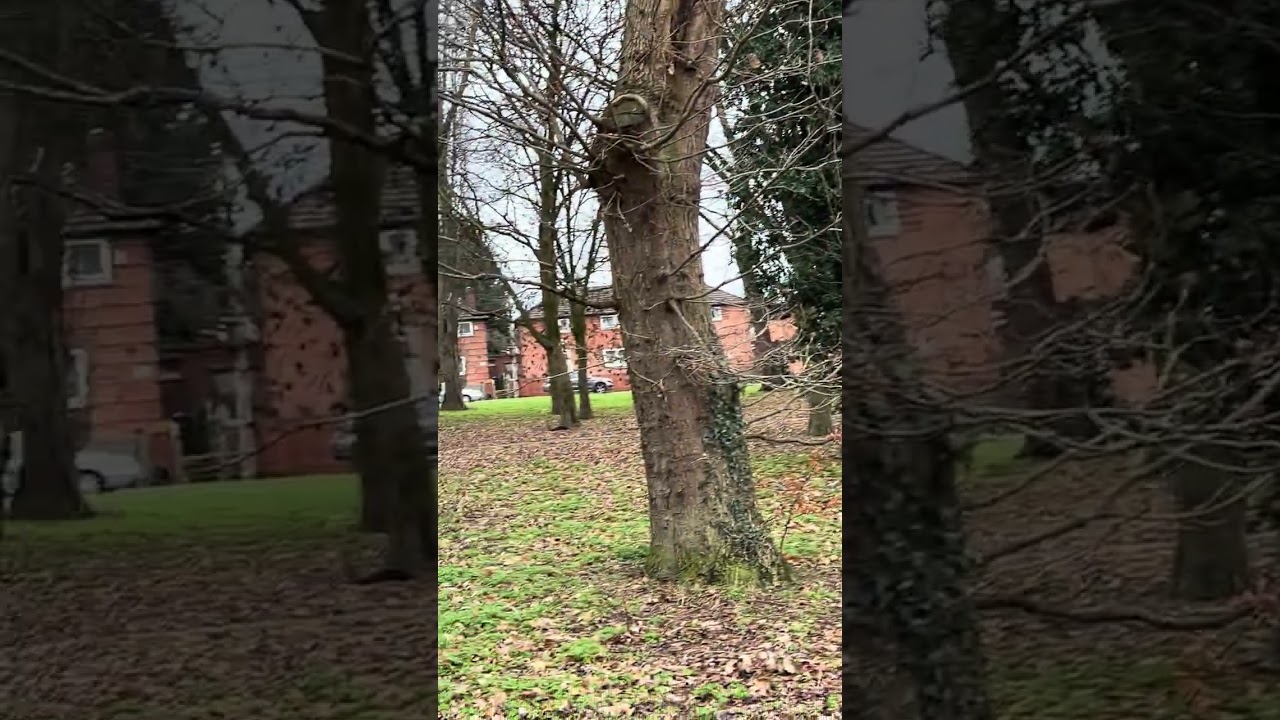 Walk back to my house 