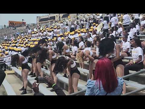 ASU Stingettes 2024