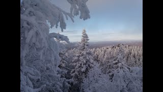 Звуки зимнего леса  😀 🌲 🙏 😴  Sounds of the winter forest