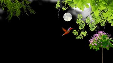 😵 New Kinemaster Natural Background Effect BLACK SCREEN Video | Natural Tree Background Effect Video