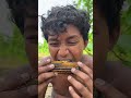 Tasty corn boiled and fry ￼