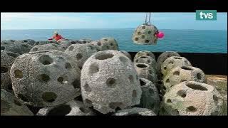 Guardians of the Shore Promo | TVS