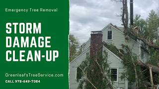 Emergency Tree Removal in Groton, MA by Greenleaf's Tree Service