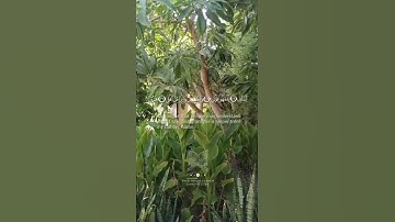 من الآية 21 إلى الآية 37 #سورة_طه
