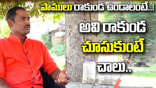 Why Snakes Will Come Into The Houses|పాములు ఇళ్ల‌లోకి ఎందుకు వ‌స్తాయంటేSnake Sagartelugu Tv Life