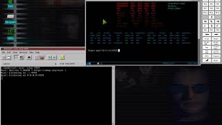 CICS Reverse Shell   Demo 1