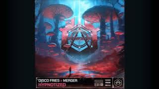 Disco Fries, Merger - Hypnotized