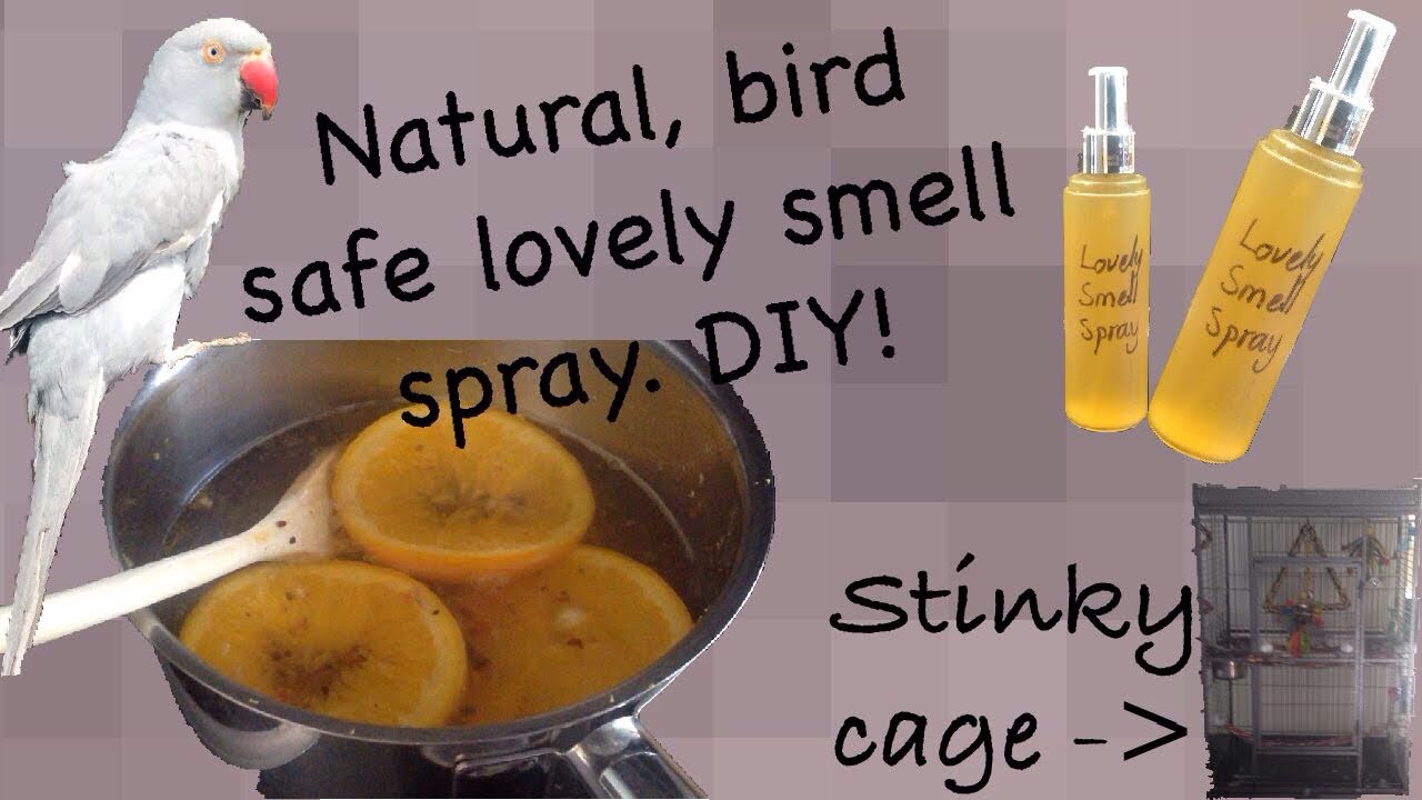 Natural, Bird Safe Good Smelling Spray For Smelly Parrot Areas!