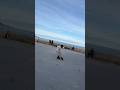 Slides day #skating #inlineskating #skate #rollerblading #inlineskates #slide #practice #motivation