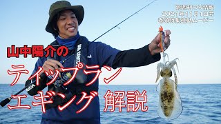 アオリイカ【初心者でも分かる！ティップランエギング解説】山中陽介・俺のティップラン