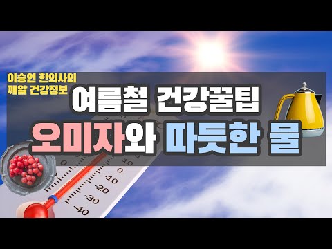 여름철 기력저하와 냉방병을 예방하는 건강관리 식품! 오미자와 따뜻한 물의 효능 [이승언 한의사의 깨알 건강정보]
