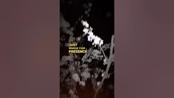 When Someone Disrespect You Precious Quote Be Denzel Washington😱🗣️| #shorts