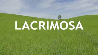 Watch Lacrimosa Trailer