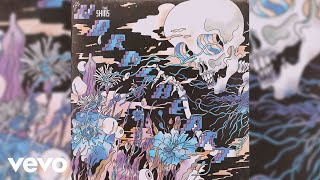 Vignette de la vidéo "The Shins - Heartworms (Flipped - Audio)"