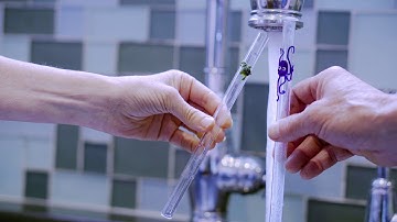 How to clean your reusable and glass straw