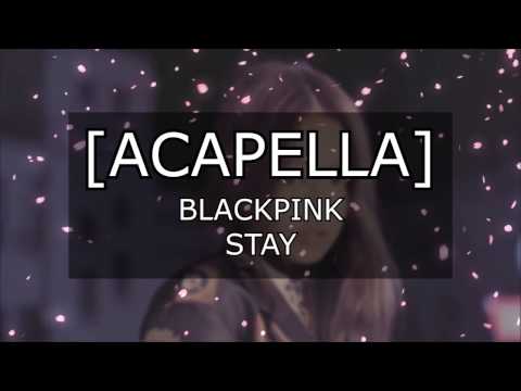 [Acapella] BLACKPINK - Stay