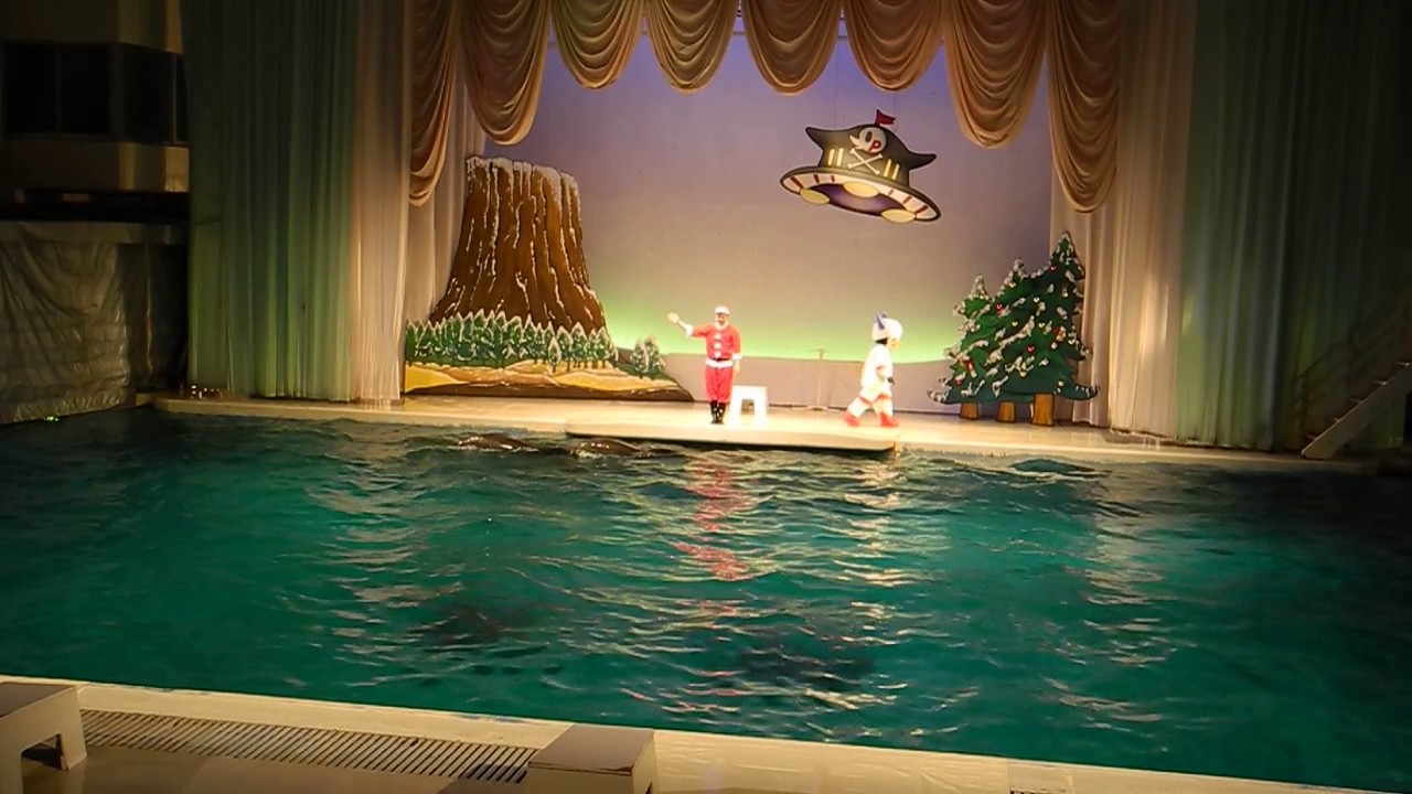 京急油壺マリンパーク いるか・あしかパフォーマンス - YouTube