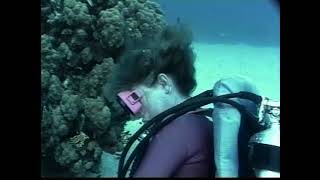 Female Scuba Diver finds cleaner fish on her leg 1980s