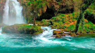 Relaxing Music with Nature Sounds - Waterfall HD(Relaxing music with nature sounds of forest and zen waterfall for relaxation, sleeping, meditation music and yoga. Relaxing rainforest music with birds and water ..., 2015-12-26T19:46:29.000Z)