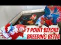 DON'T FORGET BEFORE BREEDING BETTA - PLEASE NOTE THIS