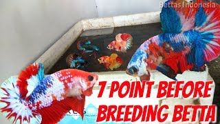 DON'T FORGET BEFORE BREEDING BETTA  PLEASE NOTE THIS