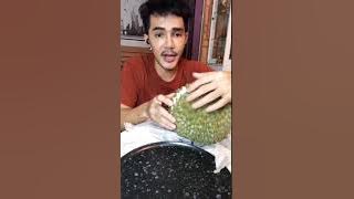 Chumnan makan durian emas