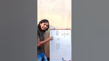 Sequência de Fibonacci na Natureza #experimento #biologia #matemática #educação #ciência