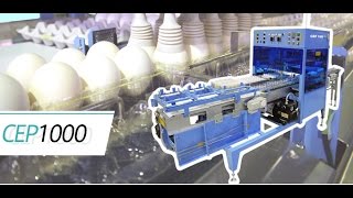 Упаковщик яиц 10,000 яиц/час Модель CEP-1000