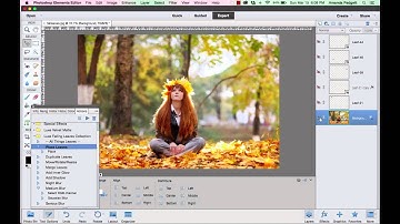 Falling Leaves Leaf Overlays and Actions for Photoshop Elements 11-15