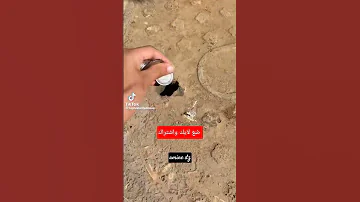 كي كنت صغير كنت نرمي فلوس فروقارا 