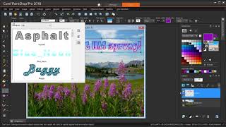 How to Add Text in PaintShop Pro