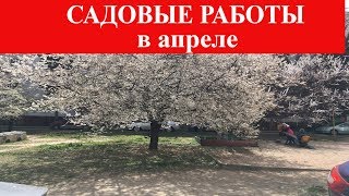 САДОВЫЕ РАБОТЫ В АПРЕЛЕ / ЧТО ДЕЛАТЬ В САДУ В АПРЕЛЕ / Органическое земледелие на юге