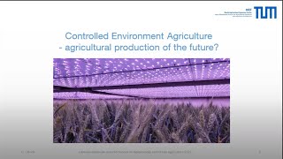 Controlled Environment Agriculture - Agricultural production of the future? - Claudia Luksch