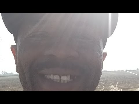 Country scene birds chirping - YouTube