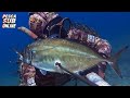 PESCA SUB : Sardegna pesca apnea in acqua bassa - Pesca subacquea da 2 a 5 metri - Pesca sub 2020