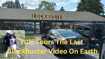 Discover the hidden treasures inside the last Blockbuster Video with Yuki the Snow Dog