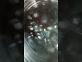Vídeo satisfatório se estiver irritado ASSISTA!!