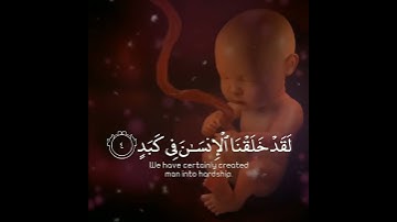 تلاوة هادئة تريح الأعصاب 😴🎧 | القاريء ماهر المعيقلي - سورة البلد 🤍🌥️."