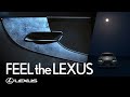 FEEL the LEXUS -LS Haku-