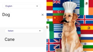 Dog different languages | Google Translate Memes