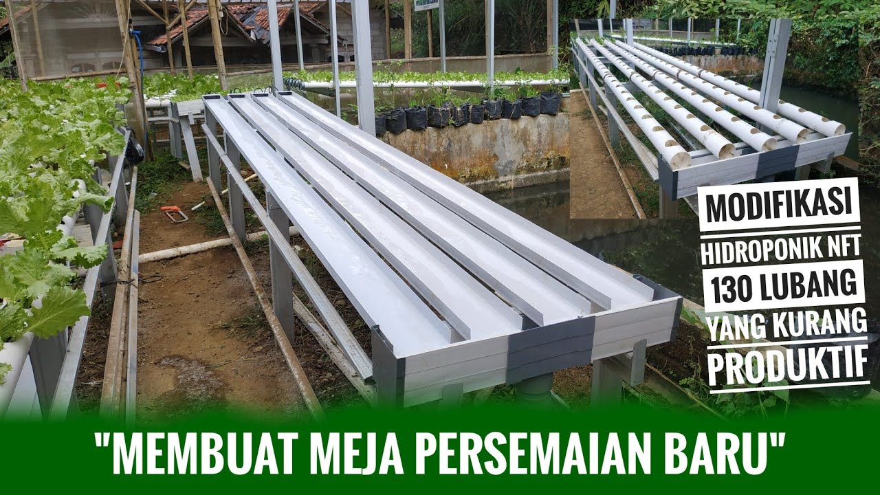 Membuat Meja Persemaian Baru | Hidroponik | Baraponik Group