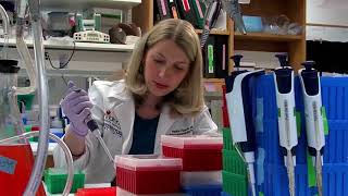 2014 Mage Proteins Research