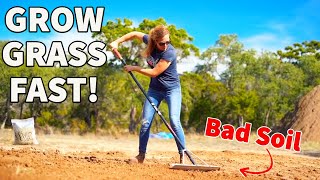 How to Grow Grass from Seed and Fix Bare Spots