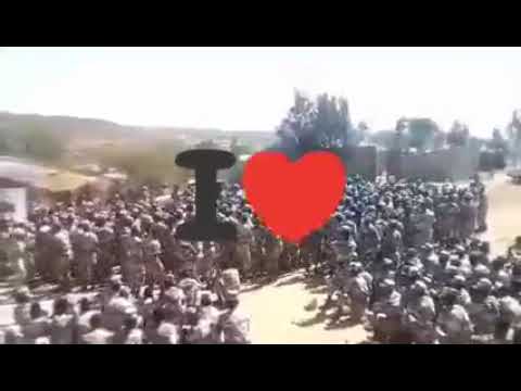 ቪዲዮ: ሀሮ በጣም አስፈላጊው የግብርና መሳሪያ ነው።